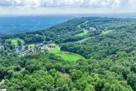 34 Wild Ginger Road Landrum SC 29356