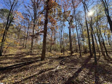220 Wildwood Farms Road Gray Court SC 29645