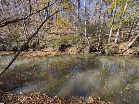 220 Wildwood Farms Road Gray Court SC 29645