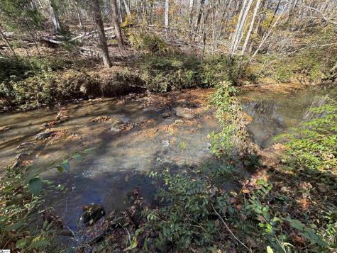220 Wildwood Farms Road Gray Court SC 29645