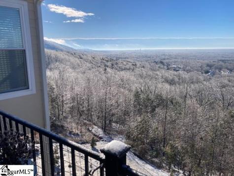 19 Tropicana Court Greenville SC 29609