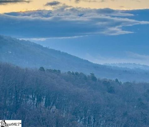 19 Tropicana Court Greenville SC 29609