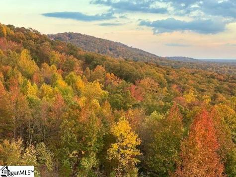 19 Tropicana Court Greenville SC 29609