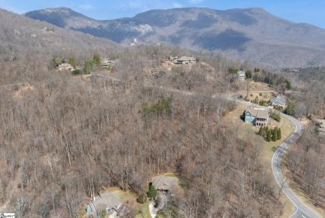 6 Goldeneye Court Landrum SC 29356