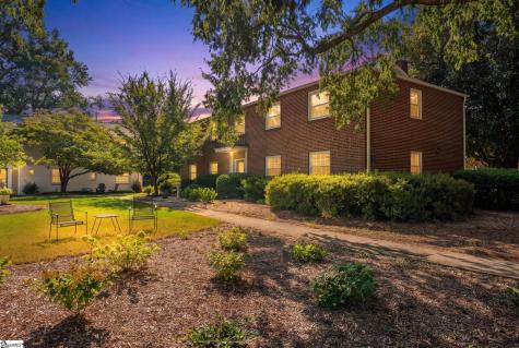 100 Lewis Drive Greenville SC 29605