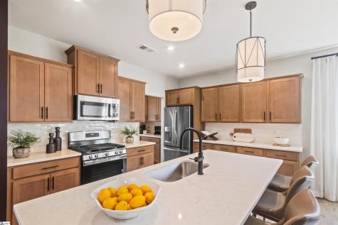 21 Ecton Place Greenville SC 29605