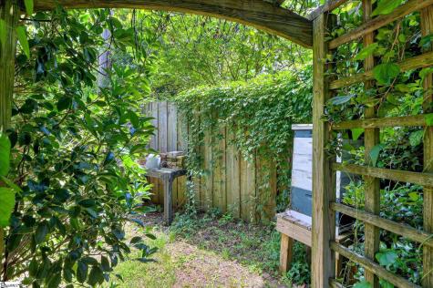 215 SE Barnard Avenue Aiken SC 29801