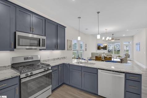 203 Taylor Woods Court Greenville SC 29607