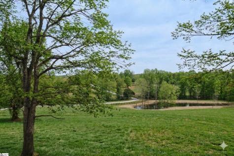 233 Stable Gate Drive Campobello SC 29322