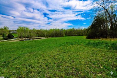 233 Stable Gate Drive Campobello SC 29322