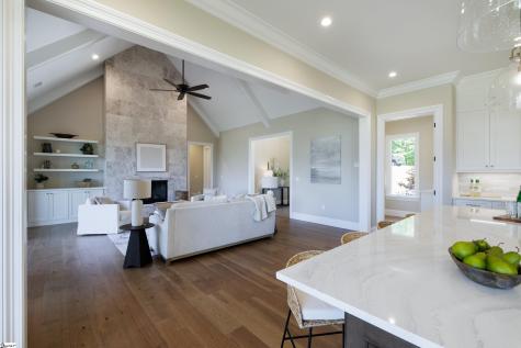 30 Dolce Vita Court Greenville SC 29609