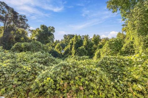 556 Lowndes Hill Road Greenville SC 29607