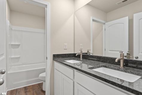 309 Talbert Trail Landrum SC 29356