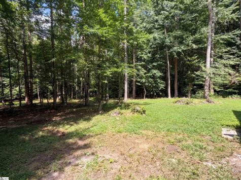 335 Dill Circle Landrum SC 29356