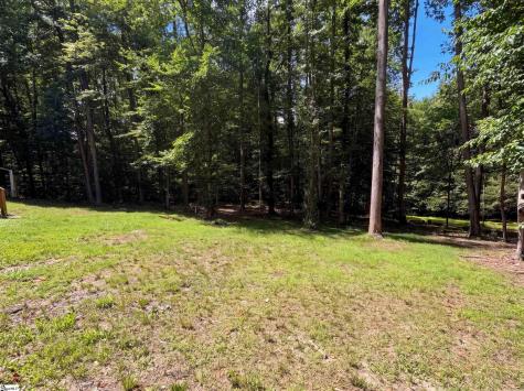 335 Dill Circle Landrum SC 29356