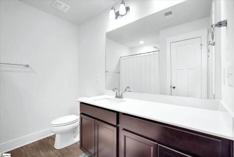 123 Pine Hollow Place Easley SC 29642