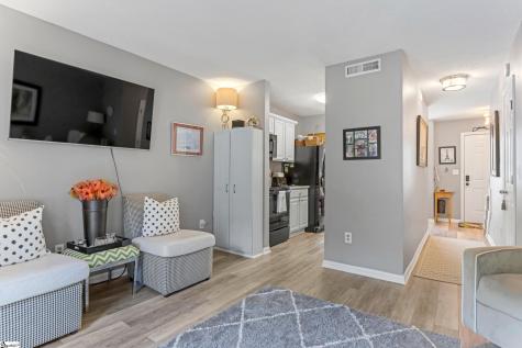 10 Bear Grass Court Greenville SC 29605