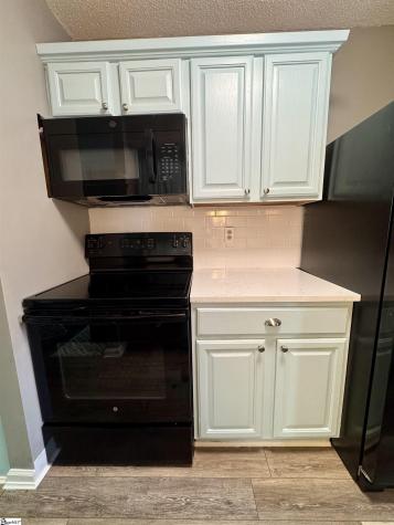 10 Bear Grass Court Greenville SC 29605