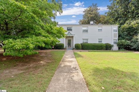 100 Lewis Drive Greenville SC 29605