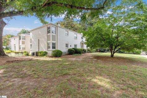 100 Lewis Drive Greenville SC 29605