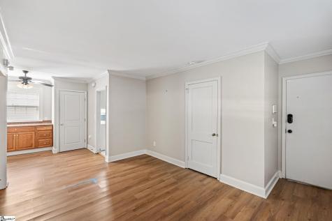 100 Lewis Drive Greenville SC 29605