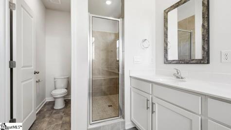 565 Landseer Drive Landrum SC 29356