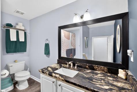 10 River Run Greenville SC 29605