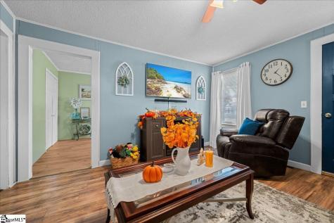 156 Holder Street Pickens SC 29671