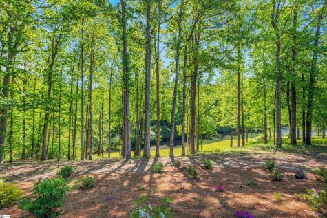 1 Long Shadow Lane Travelers Rest SC 29690
