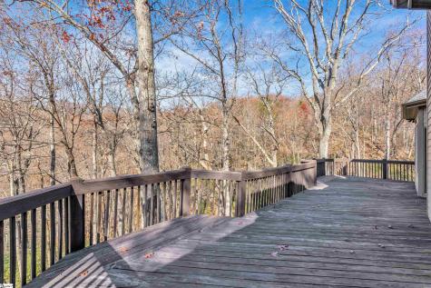 20 Moccasin Flower Trail Landrum SC 29356