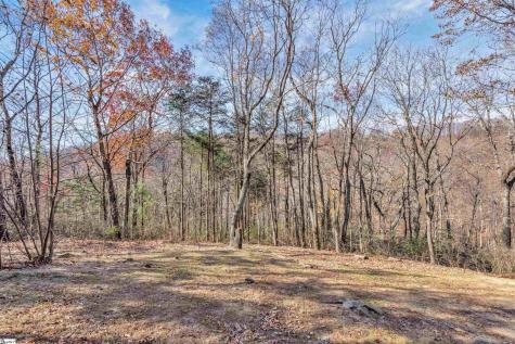 20 Moccasin Flower Trail Landrum SC 29356