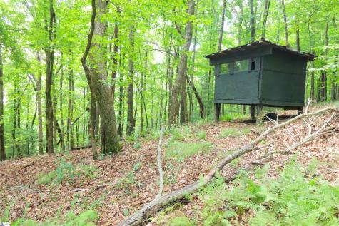 141 Owl Haven Lane Cedar Mountain NC 28718