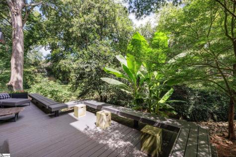 307 Townes Street Greenville SC 29601