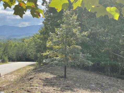 00 Birkdale Drive Mill Spring NC 28756
