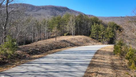 00 Birkdale Drive Mill Spring NC 28756