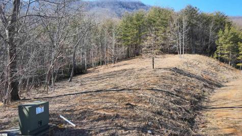 00 Birkdale Drive Mill Spring NC 28756