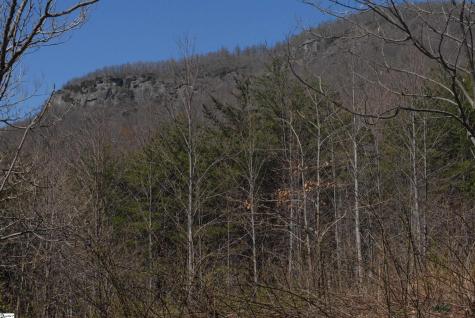 00 Birkdale Drive Mill Spring NC 28756