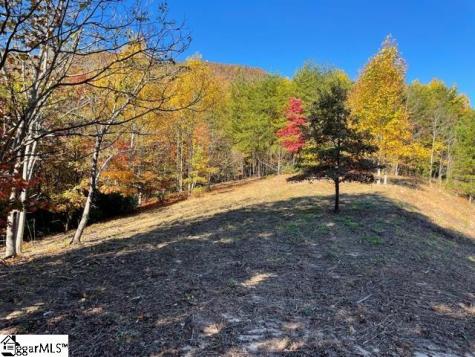 00 Birkdale Drive Mill Spring NC 28756