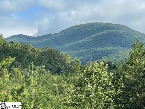 00 Birkdale Drive Mill Spring NC 28756