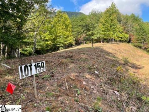 00 Birkdale Drive Mill Spring NC 28756