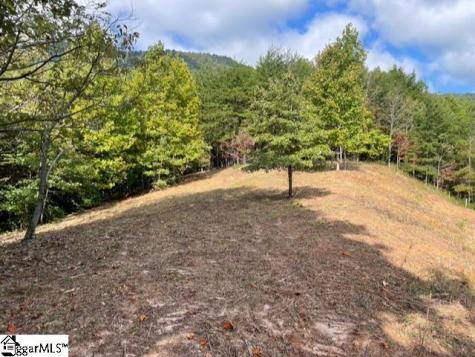 00 Birkdale Drive Mill Spring NC 28756