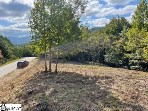 00 Birkdale Drive Mill Spring NC 28756
