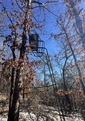 145 Night Sky Drive Pickens SC 29671