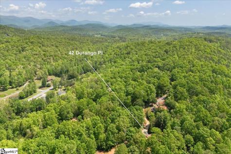 42 Durango Place Cleveland SC 29635