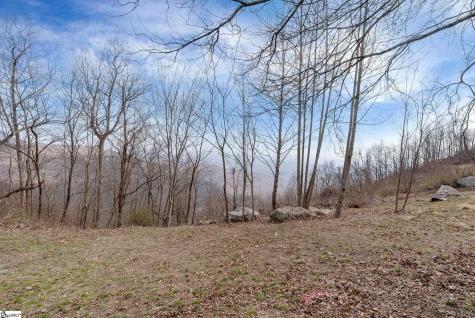 97 The Cliffs Parkway Landrum SC 29356