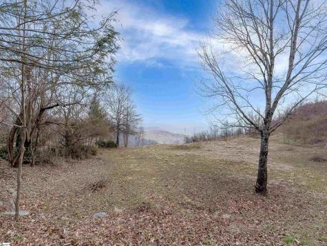 97 The Cliffs Parkway Landrum SC 29356