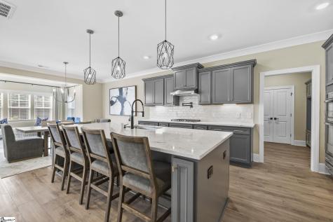103 Giannelli Way Greenville SC 29615