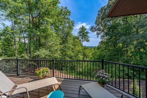 104 Sweetshrub Way Sunset SC 29685