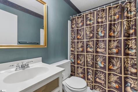 17 Briargate Place Greenville SC 29615