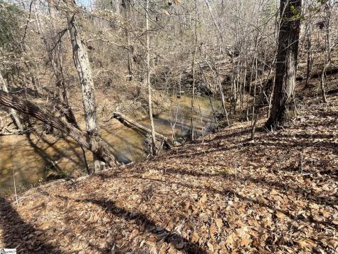 445 Drummond Road Enoree SC 29335